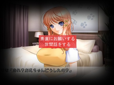 ��ϥ��å��ʵ������ҹ��� ���